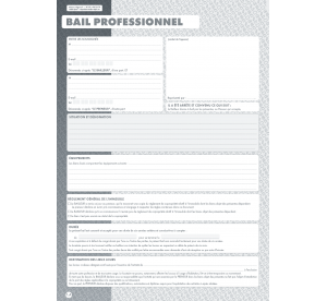 Bail professionnel, le...